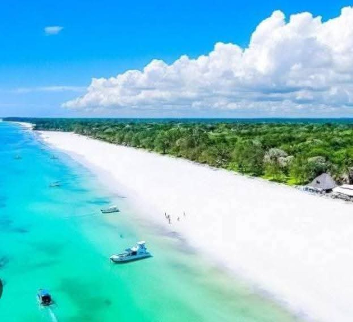 7 Façons Spectaculaires de Voyager de Mombasa à Zanzibar pour un Safari et une Aventure Balnéaire Inoubliables