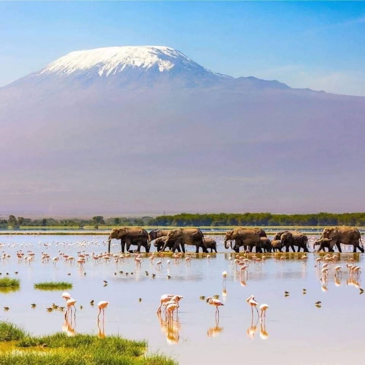 7 Façons Incroyables de Voler depuis l’Europe vers Nairobi, Kenya pour une Aventure Safari Inoubliable