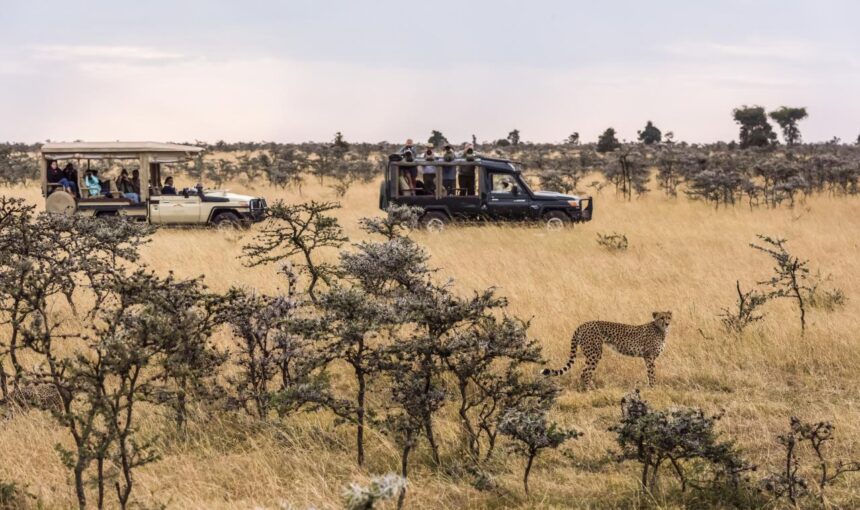 Aventure Inoubliable : Combiner une Croisière et un Safari au Kenya