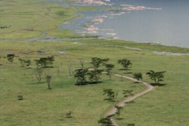 Soutenir les Écoles Kényanes Pourboires en Safari