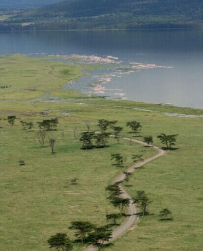 Façons Touchantes de Soutenir les Écoles Kényanes par des Dons Utiles