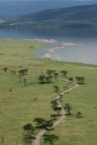 Pourboires en Safari