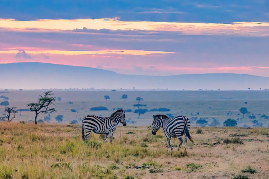 7 Conseils Remarquables pour Planifier le Safari Parfait à Amboseli : Itinéraire de 3 Jours