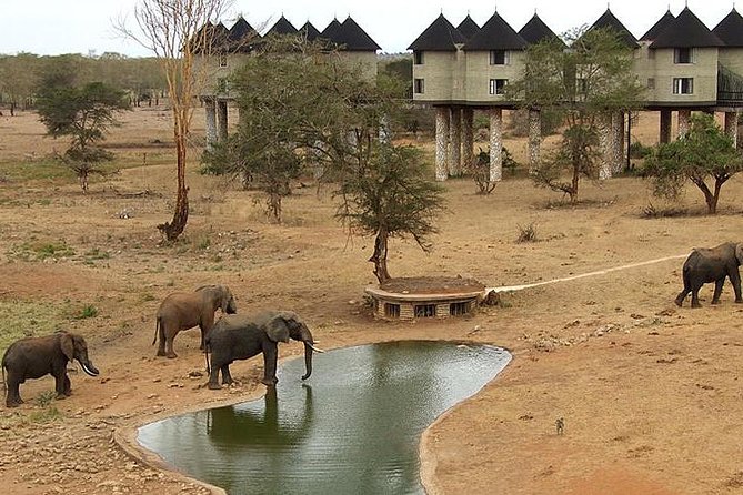 La Liste Incontournable du Kenya