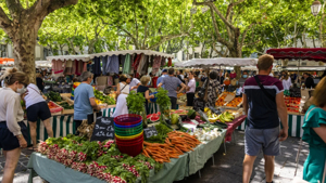 e8422c2a-4b68-59ef-abbf-e583e89ea53f